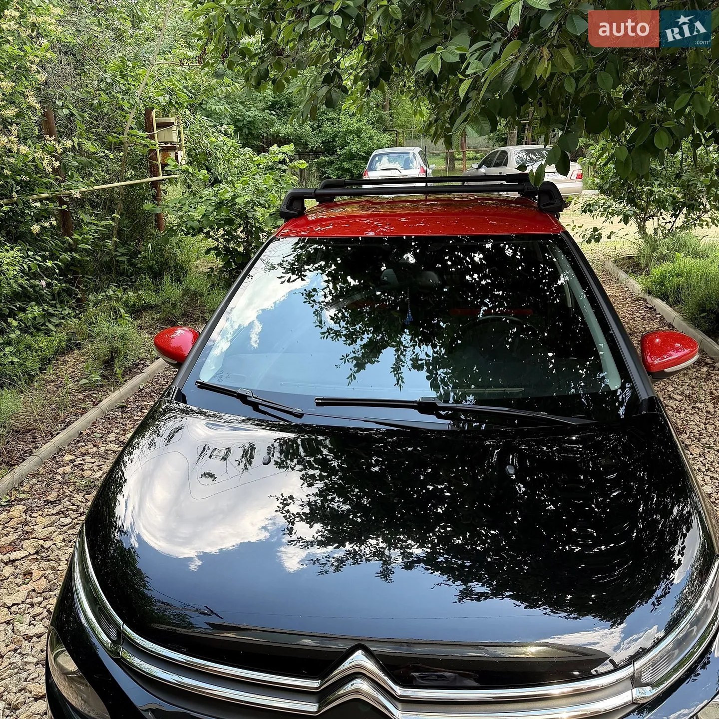 2019 Citroen C3 - мініатюра 12