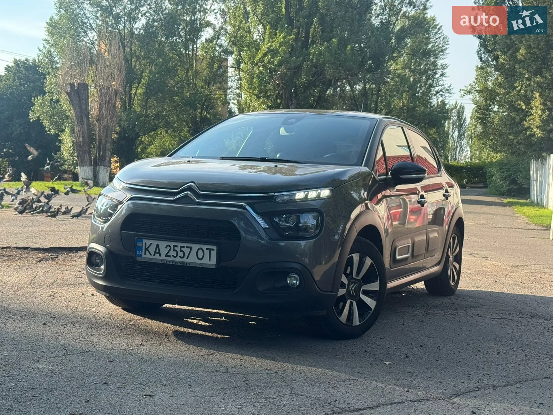 2023 Citroen C3 - фото 1