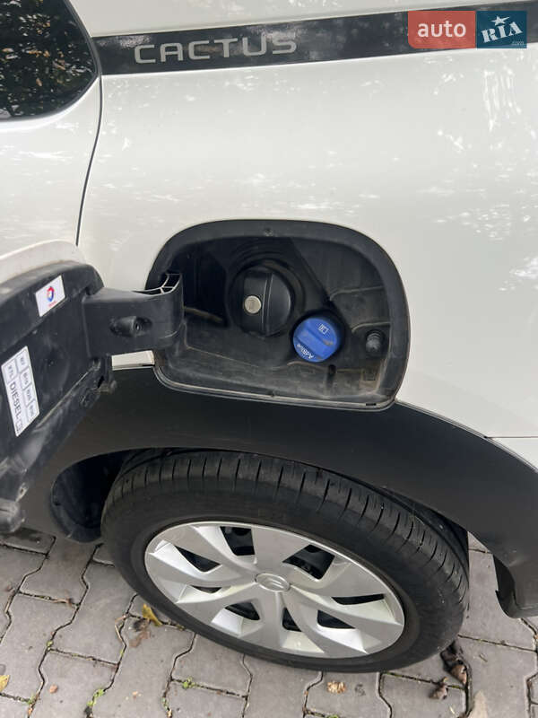 Позашляховик / Кросовер Citroen C4 Cactus 2019 в Івано-Франківську фото 15 Позашляховик / Кросовер Citroen C4 Cactus 2019 в Івано-Франківську