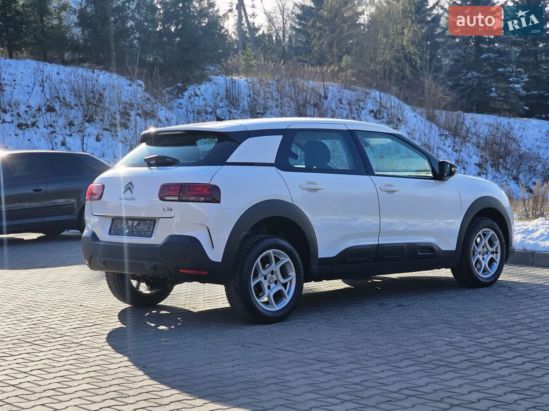 2019 Citroen C4 Cactus - мініатюра 22