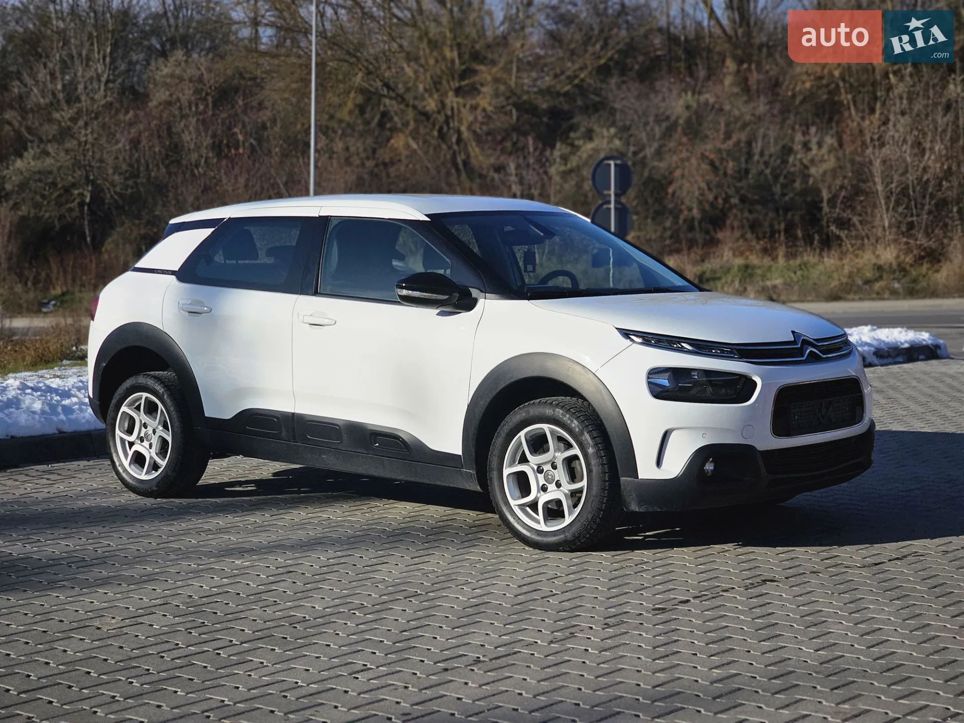 2019 Citroen C4 Cactus - мініатюра 19