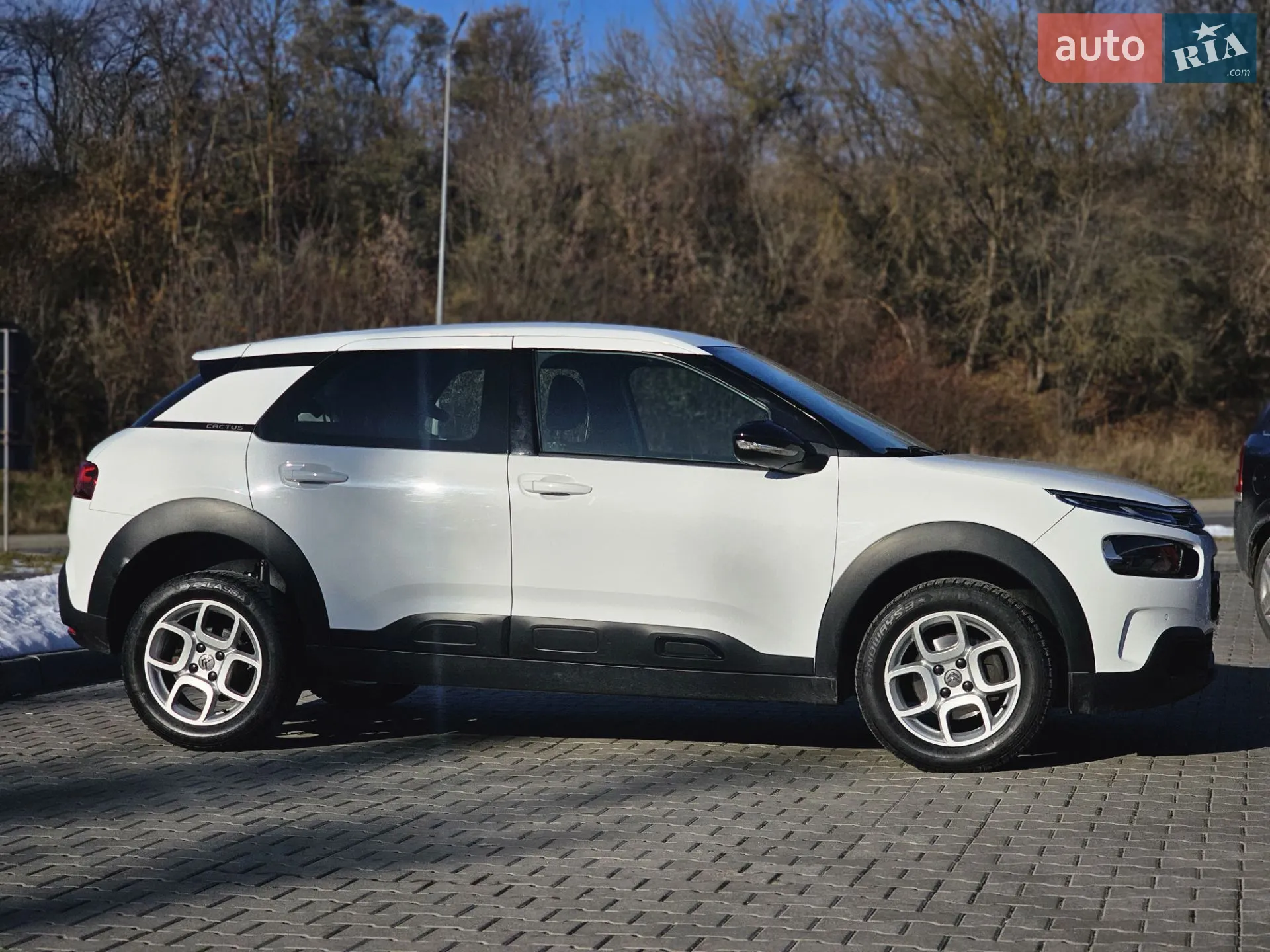 2019 Citroen C4 Cactus - мініатюра 20