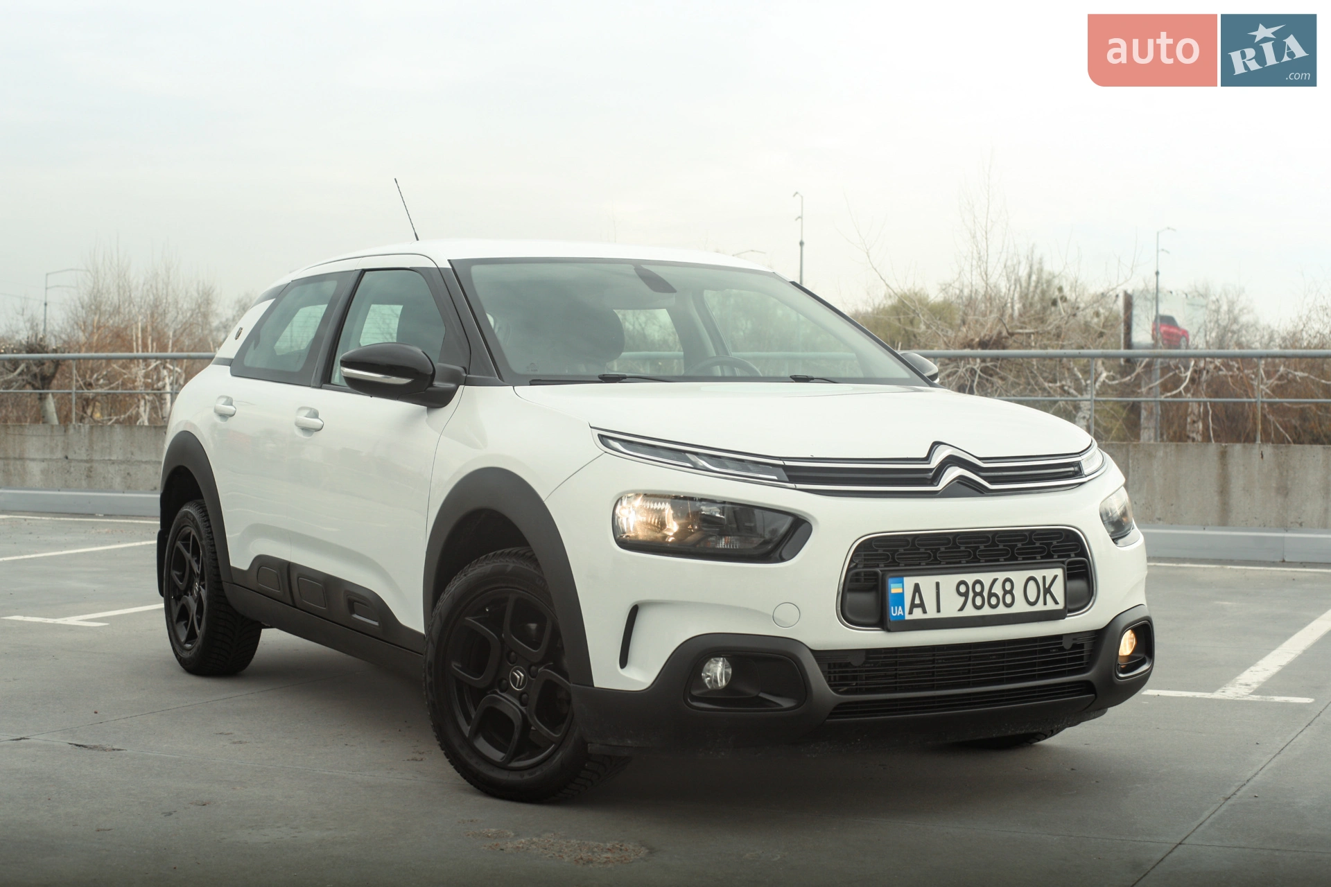 C4 Cactus