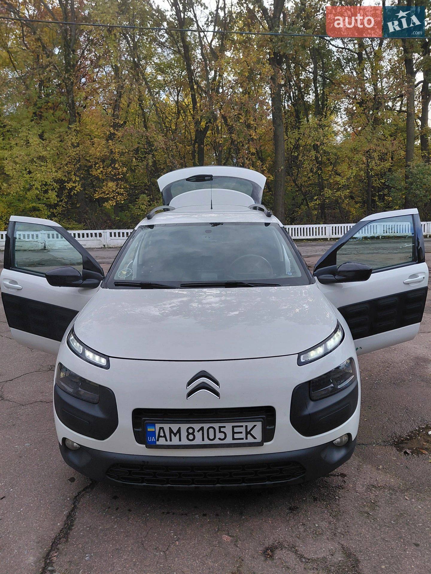 2015 Citroen C4 Cactus - мініатюра 2