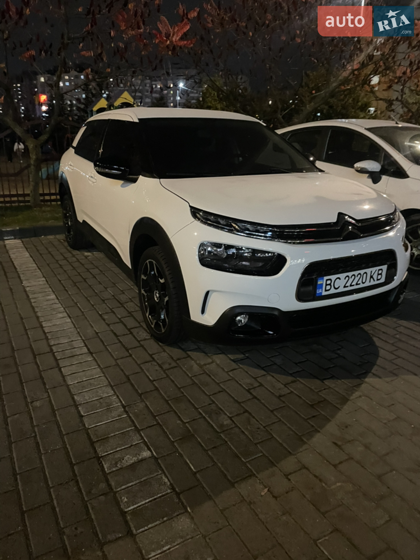 2019 Citroen C4 Cactus - мініатюра 13