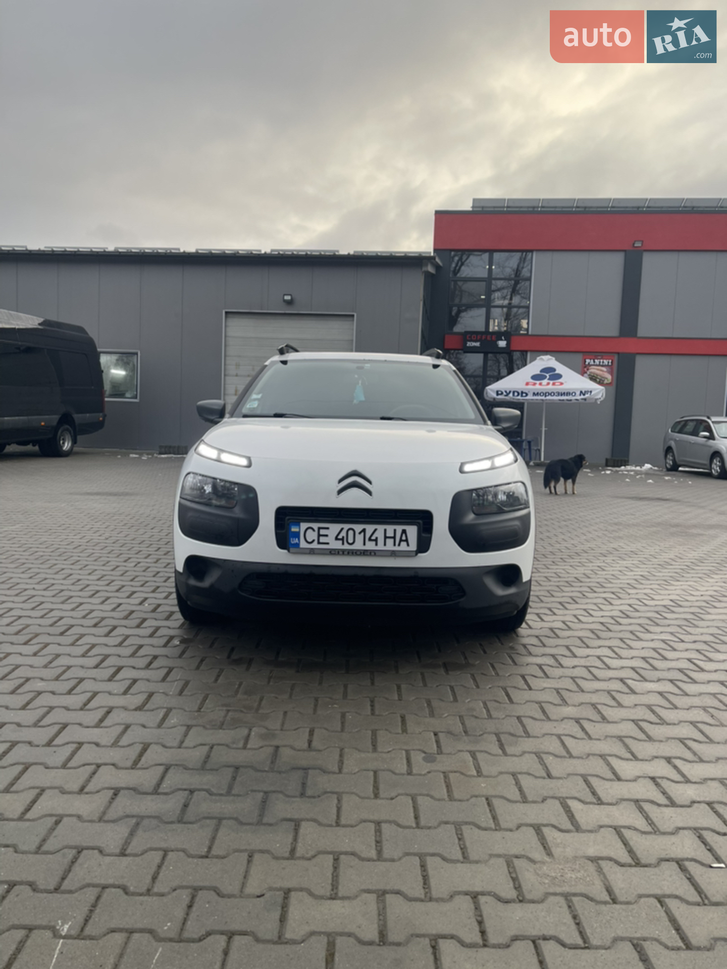 2017 Citroen C4 Cactus - мініатюра 3