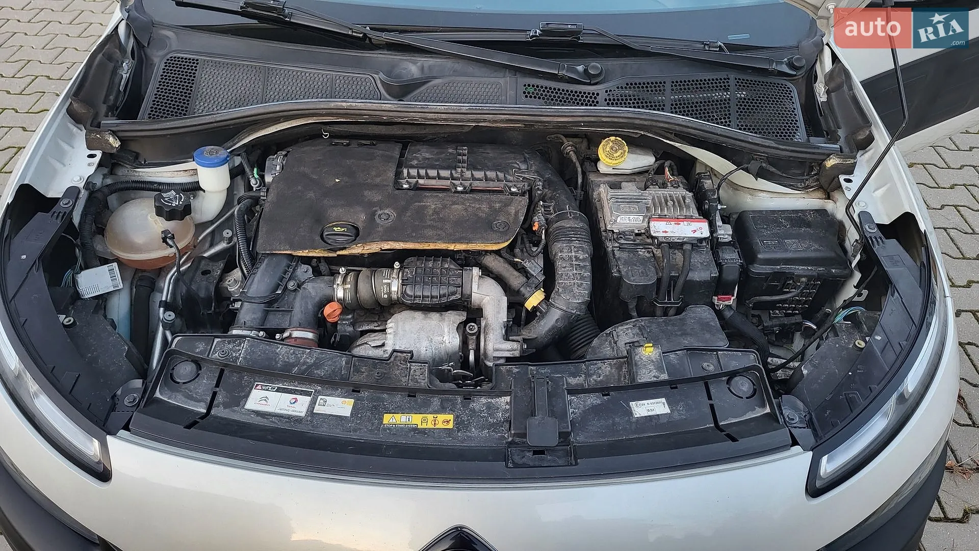 2015 Citroen C4 Cactus - мініатюра 15