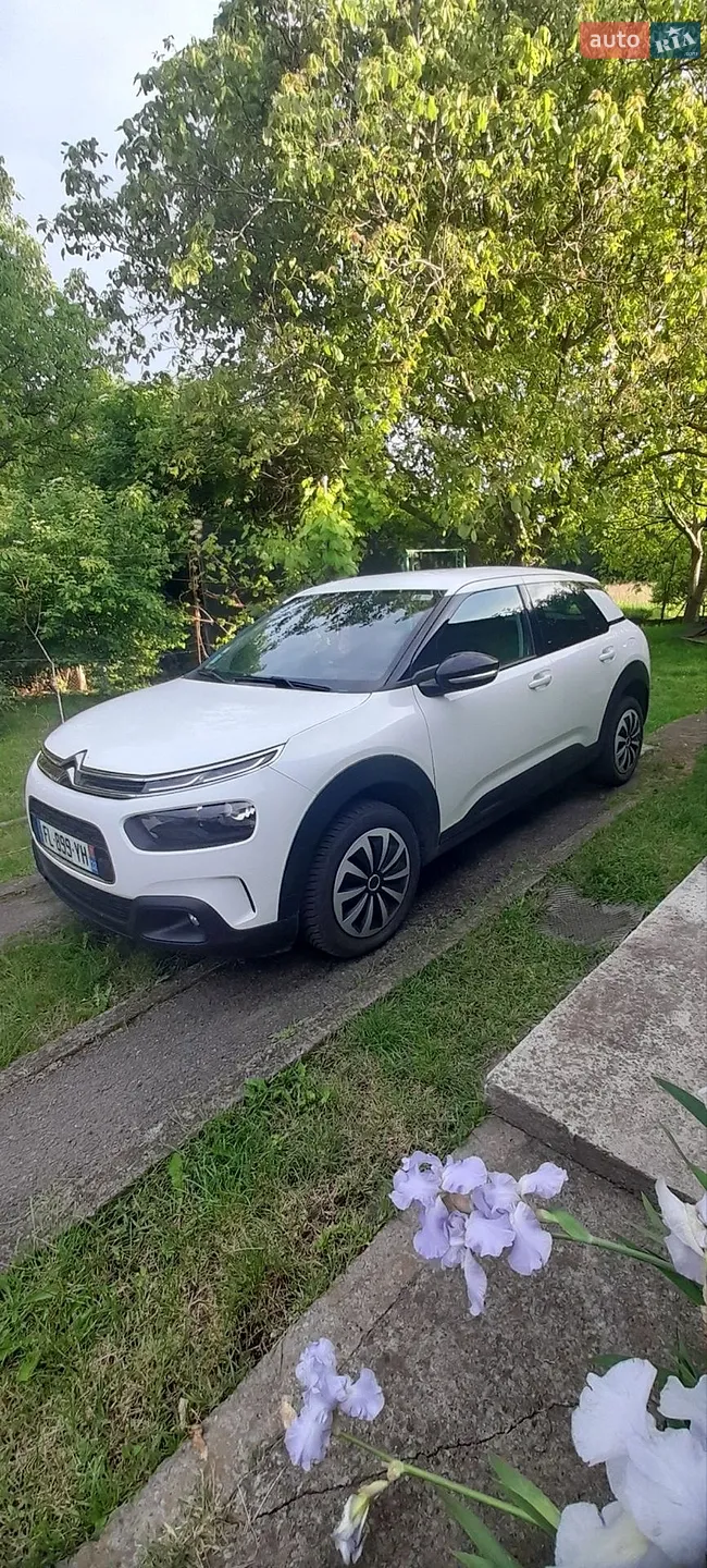 2019 Citroen C4 Cactus - мініатюра 34