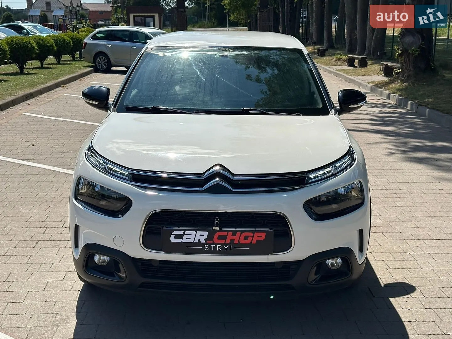 2019 Citroen C4 Cactus - мініатюра 8