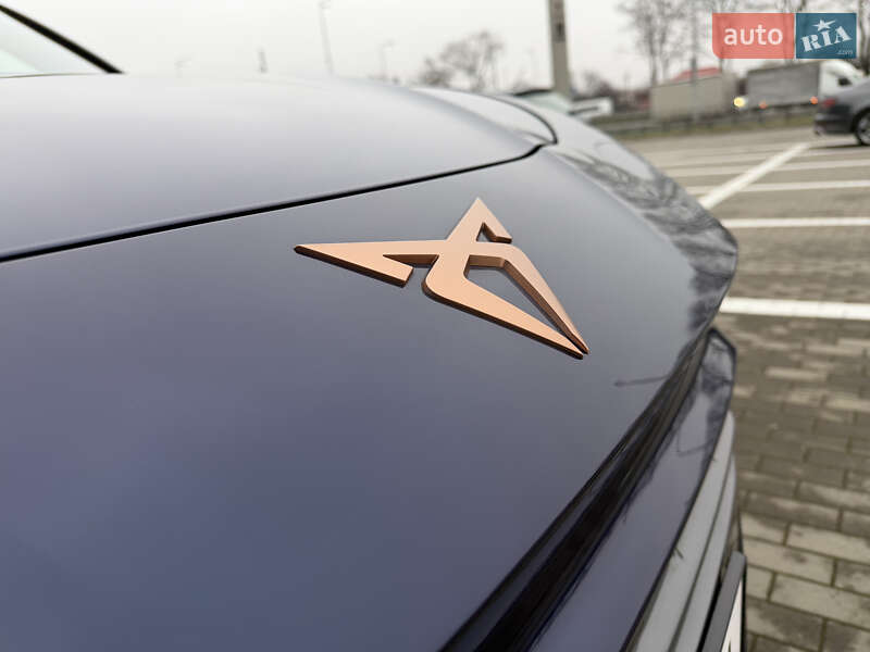 Внедорожник / Кроссовер Cupra Terramar 2025 в Киеве фото 7 Внедорожник / Кроссовер Cupra Terramar 2025 в Киеве