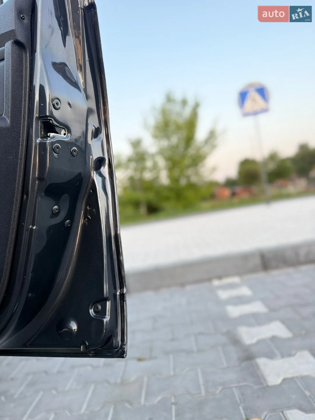 2010 Dacia Sandero - мініатюра 89