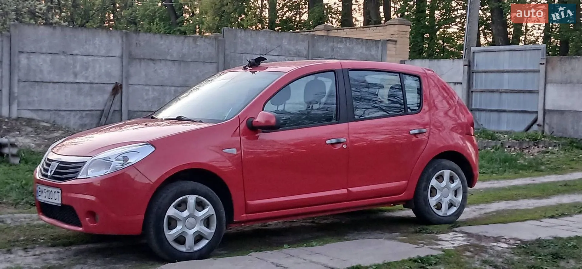 2010 Dacia Sandero - фото 1