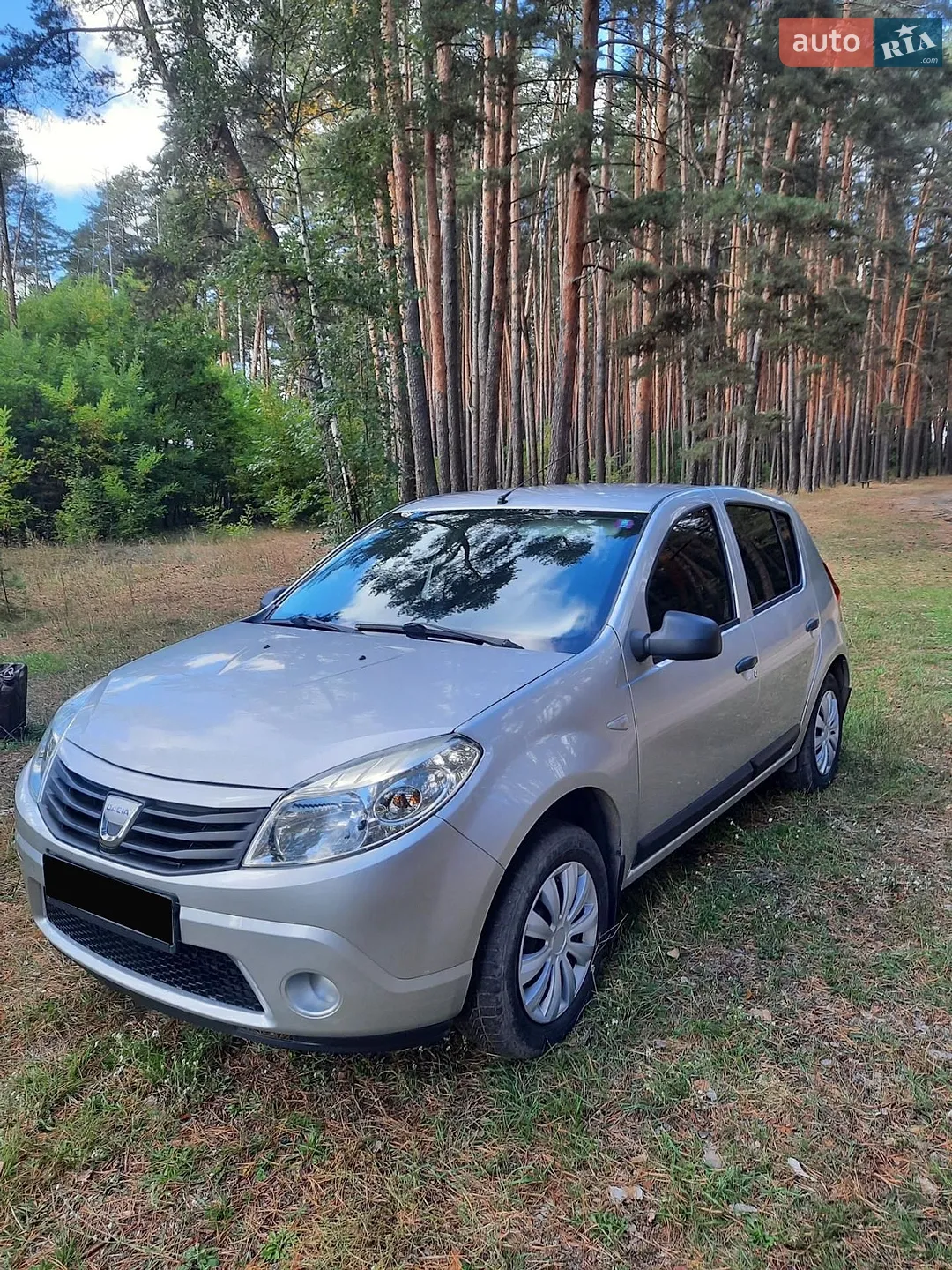 2010 Dacia Sandero - мініатюра 14