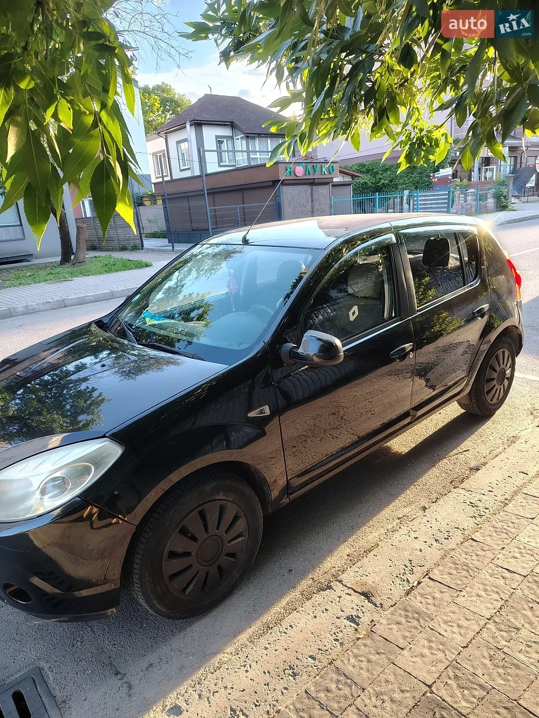 2010 Dacia Sandero - мініатюра 3