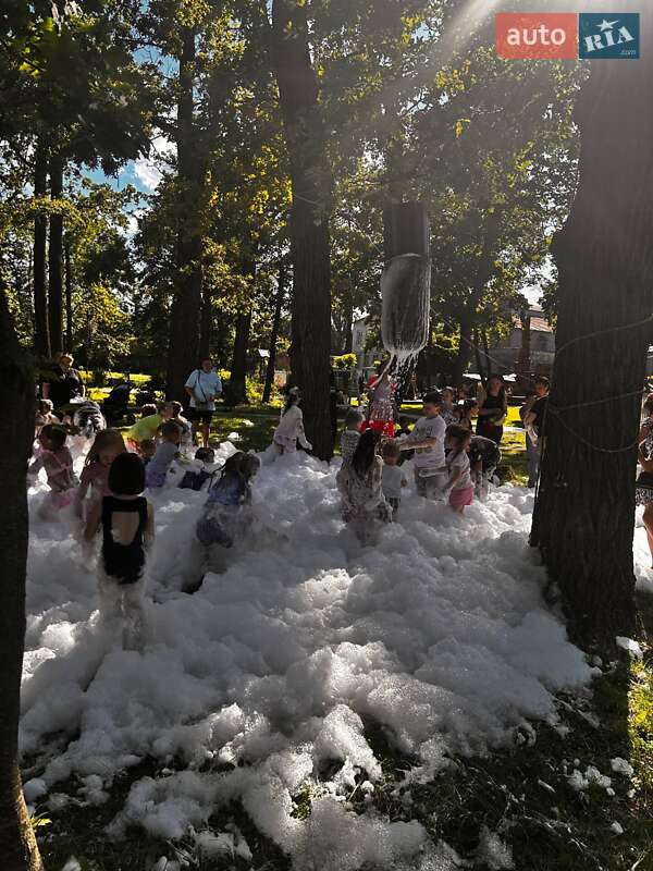 Седан Dacia Solenza 2004 в Малине