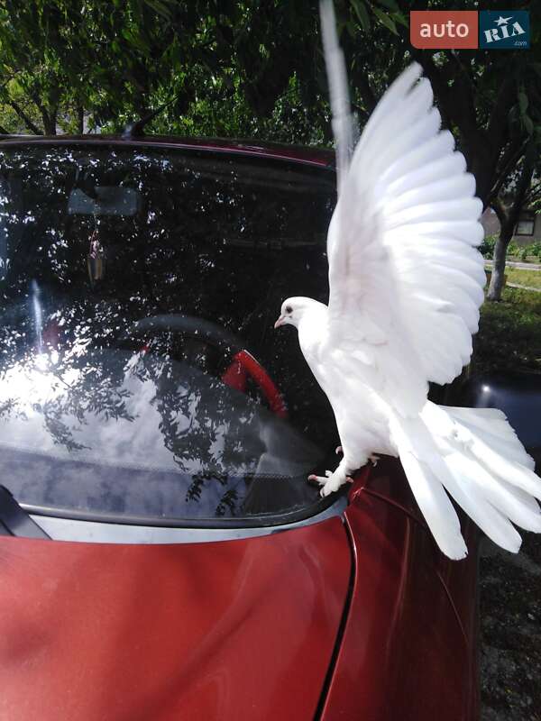 Седан Daewoo Sens 2005 в Козятині