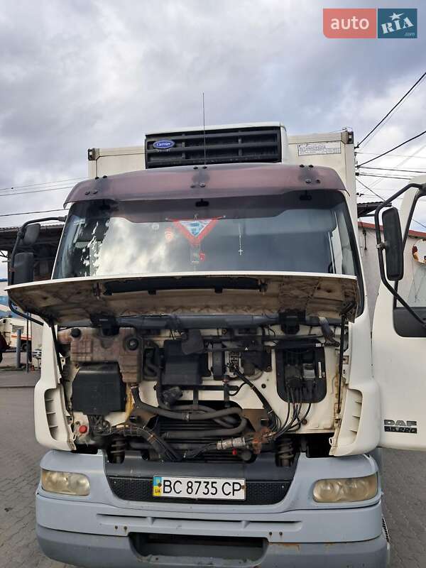 Рефрижератор DAF LF 2006 в Львове