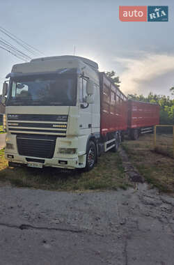 Зерновоз DAF XF 95.430 2006 в 