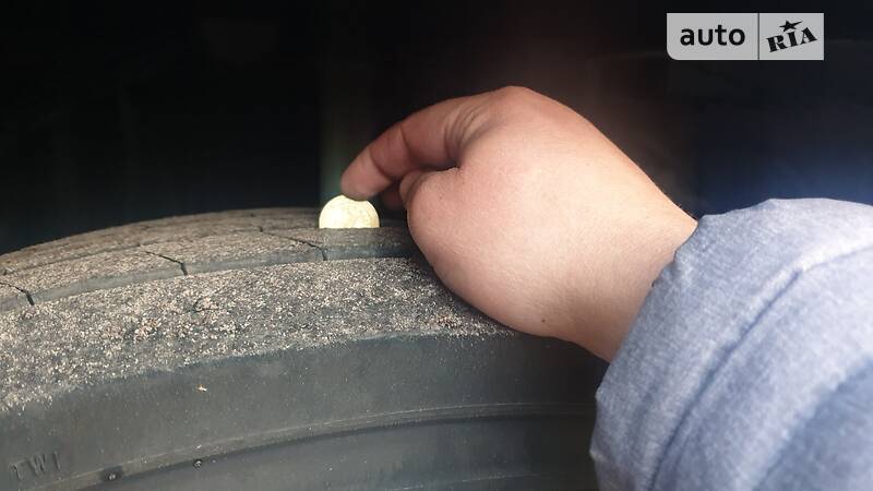 Тентованый DAF XF 95 2006 в Житомире