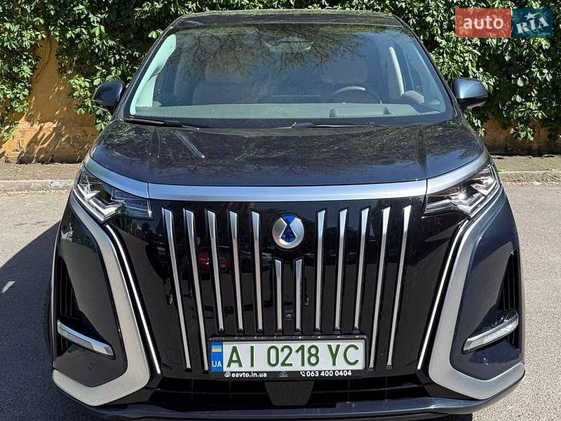 2023 Denza D9, VIN LC0DF4CDXP0019760:plate — photo 1 (autoria)