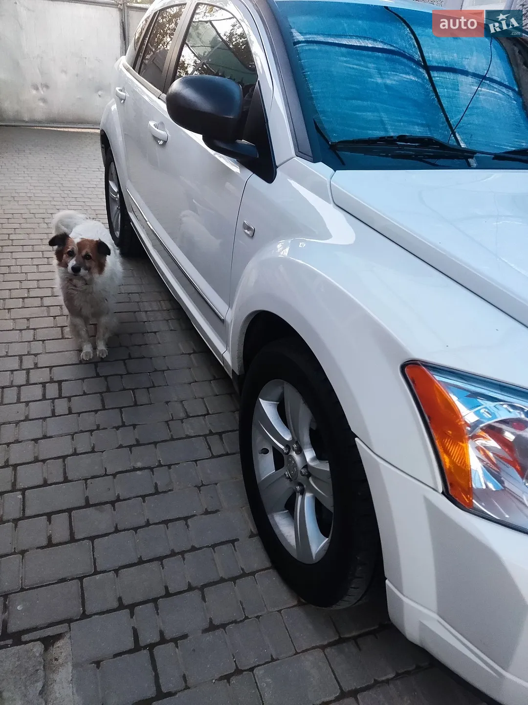2011 Dodge Caliber - мініатюра 20