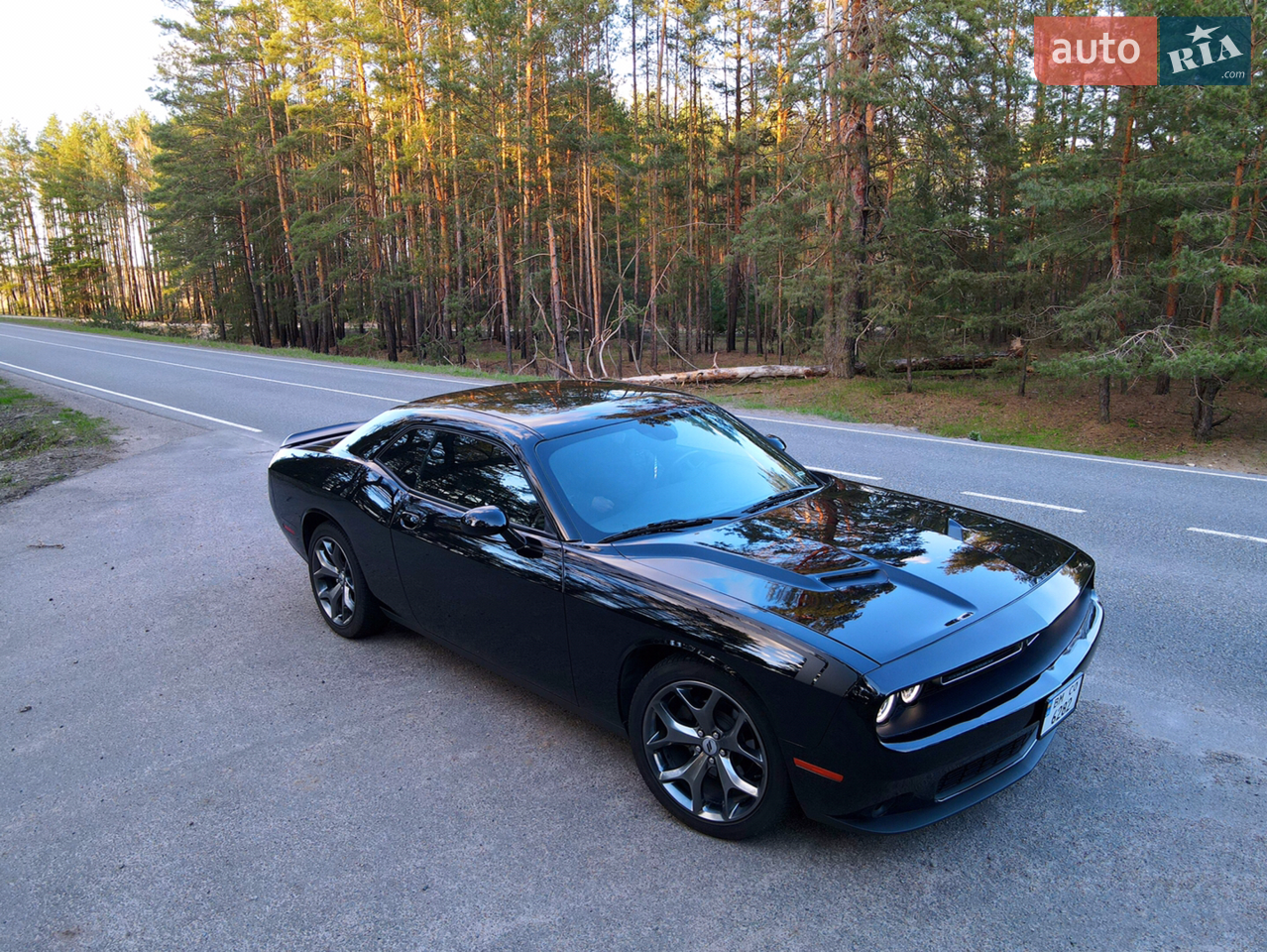 2017 Dodge Challenger - мініатюра 10