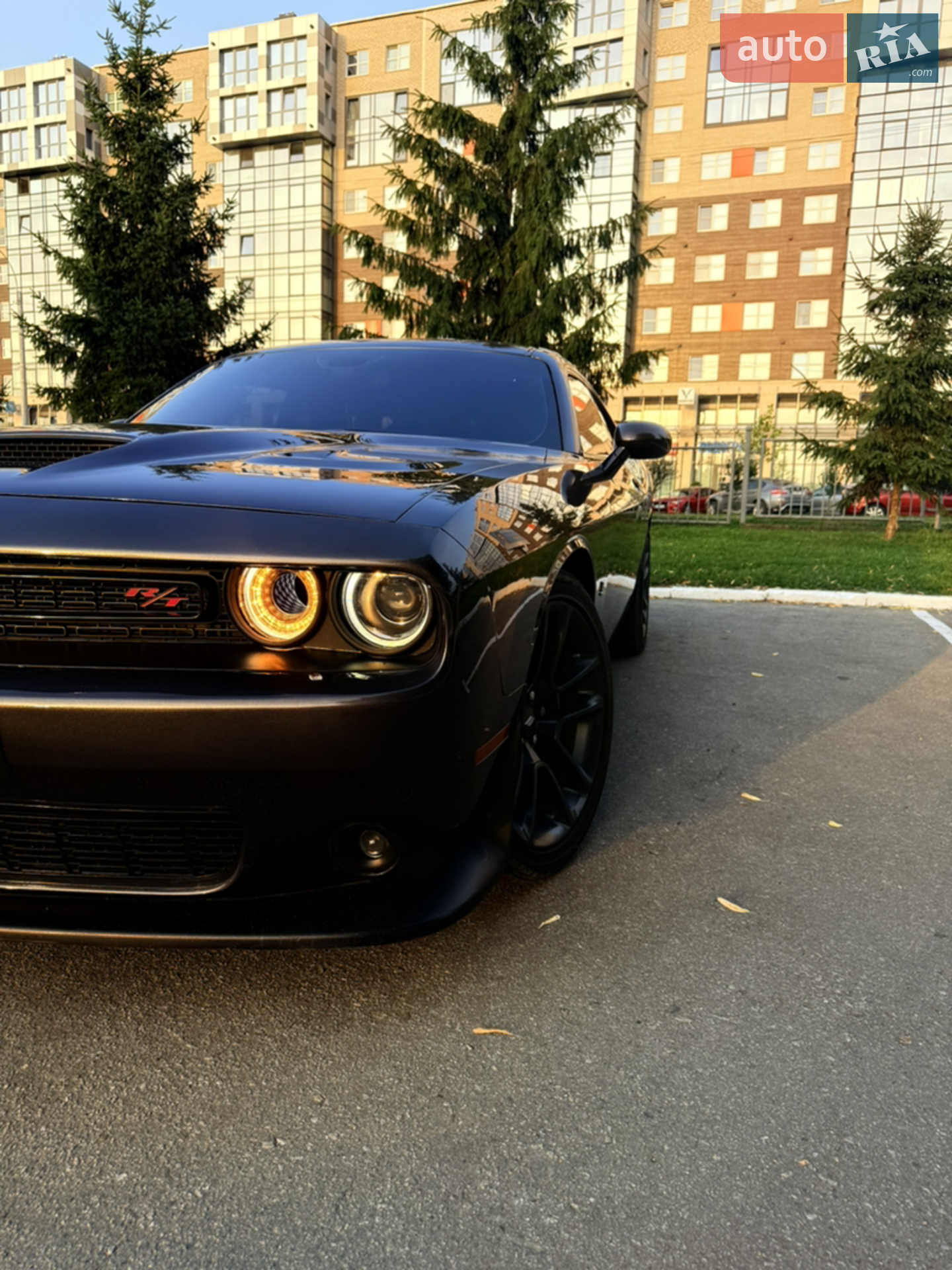 2021 Dodge Challenger - фото 1