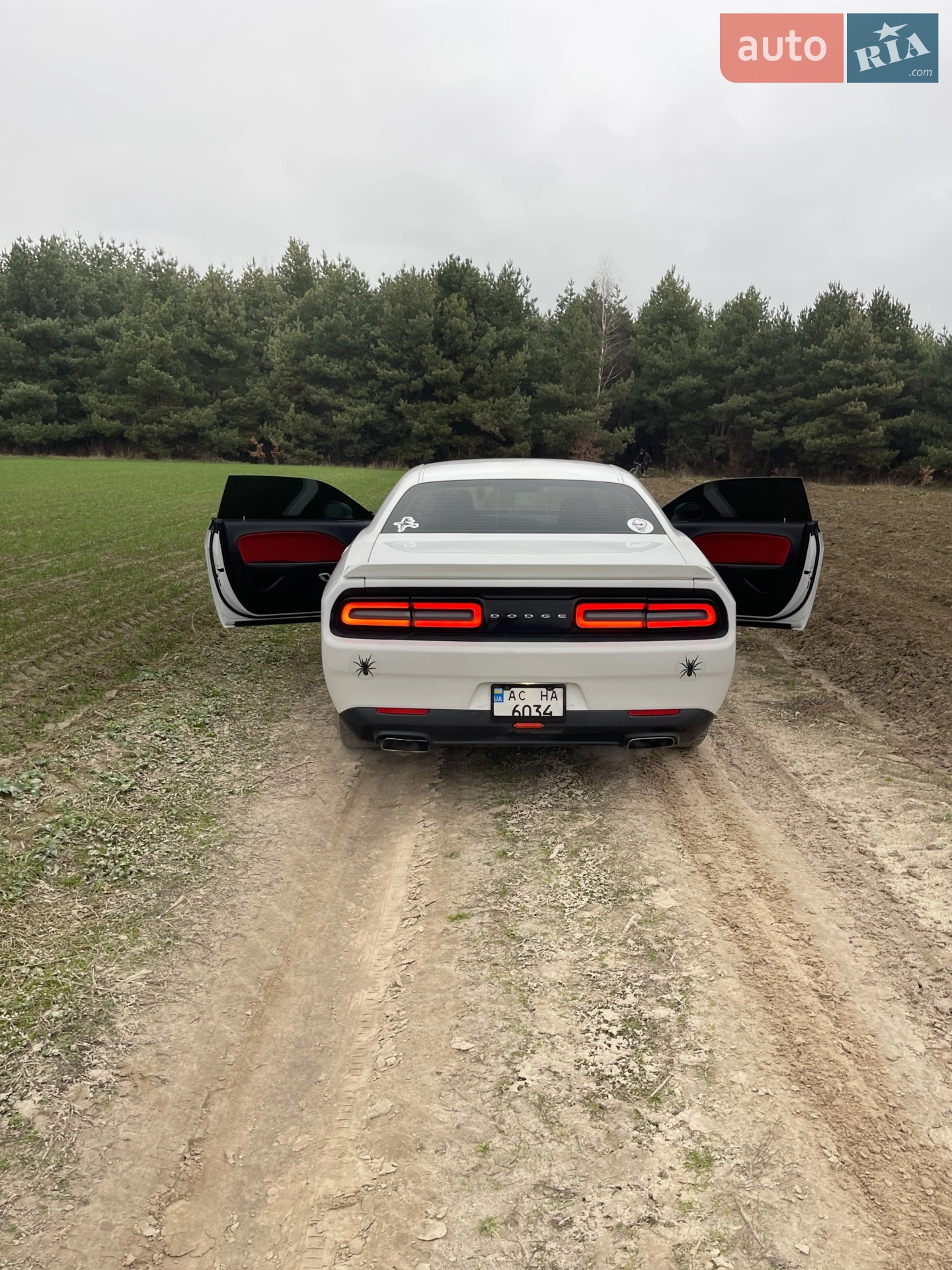 2016 Dodge Challenger - мініатюра 6