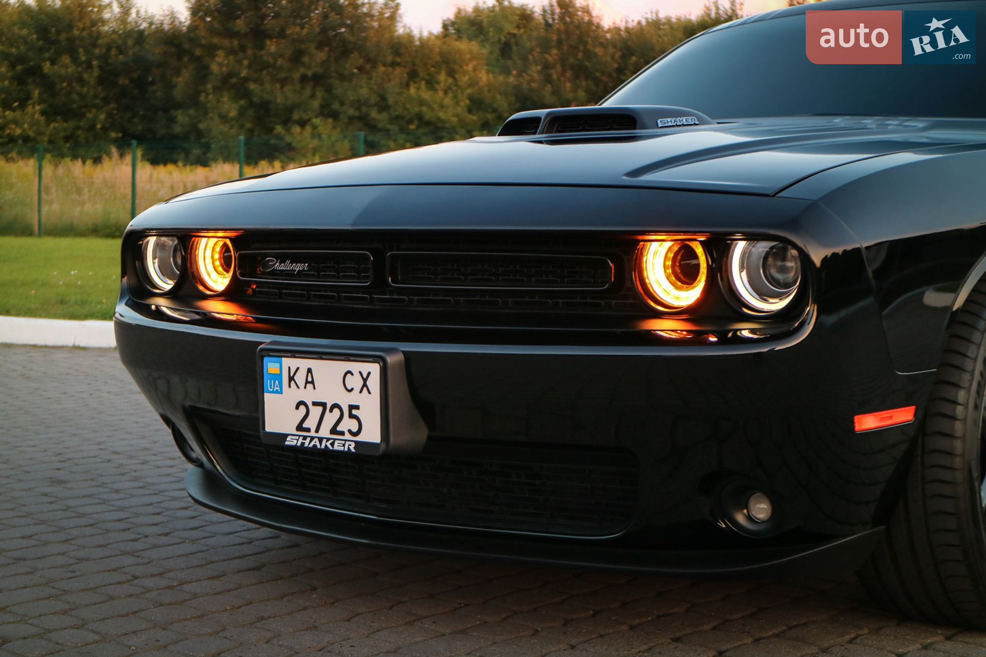 2015 Dodge Challenger - мініатюра 5
