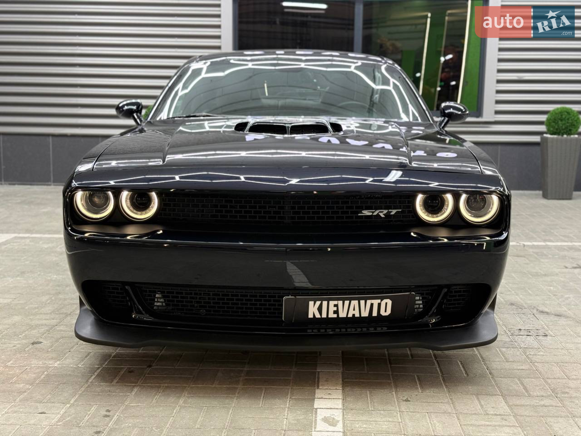 2016 Dodge Challenger - мініатюра 2