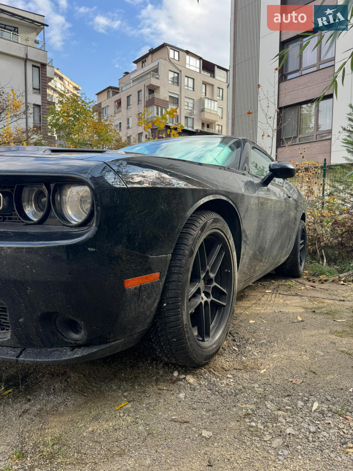 2014 Dodge Challenger - мініатюра 13