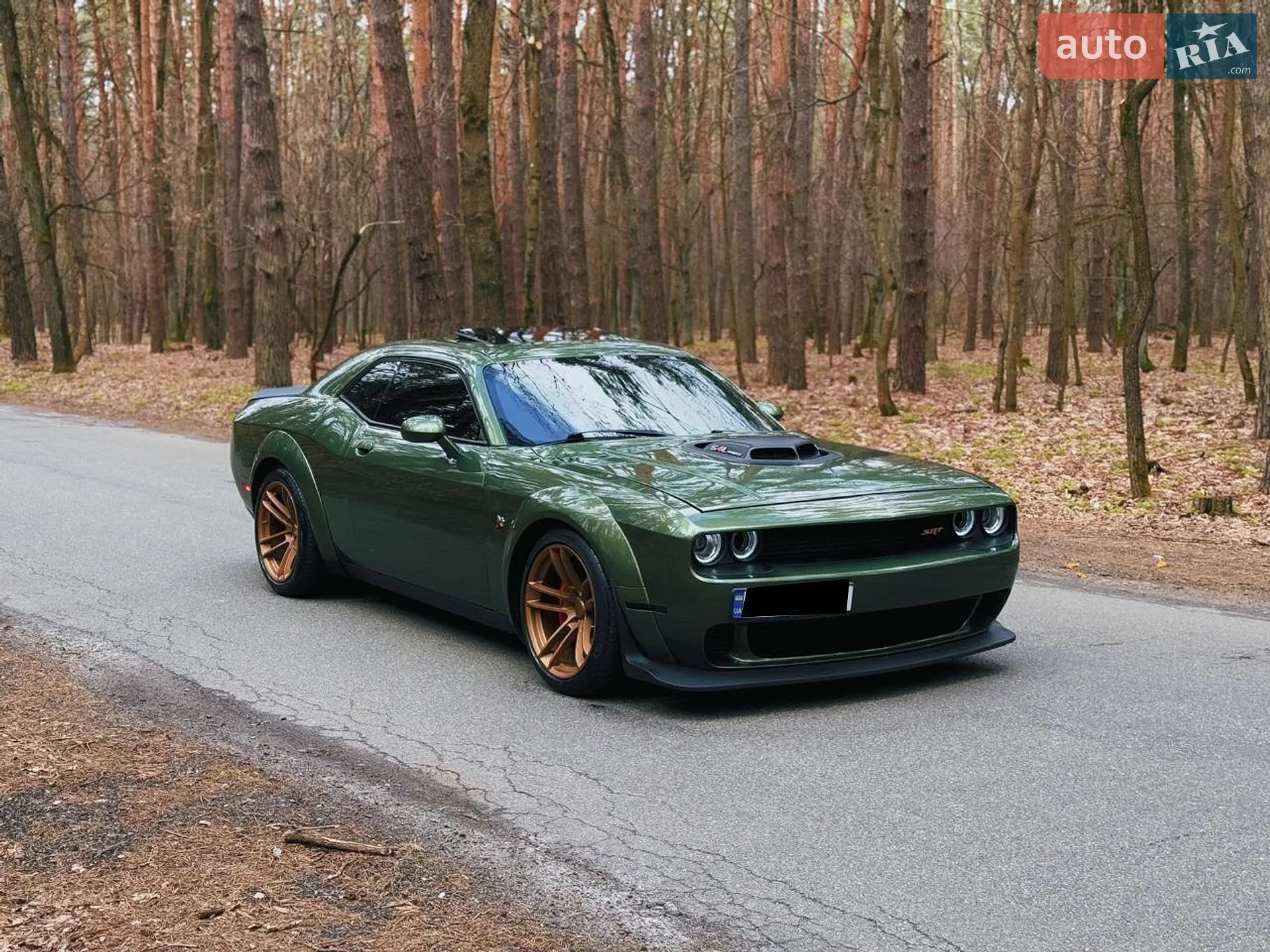 2018 Dodge Challenger - мініатюра 4