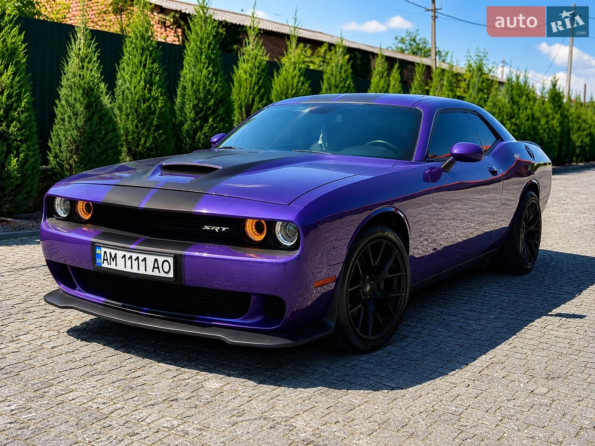 2019 Dodge Challenger - мініатюра 2