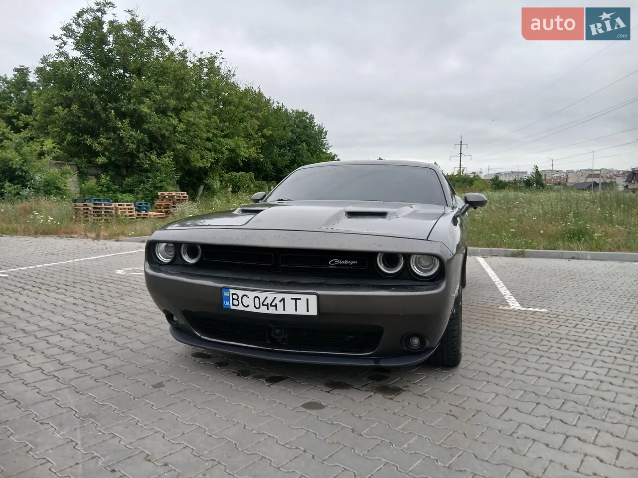 2016 Dodge Challenger - мініатюра 24
