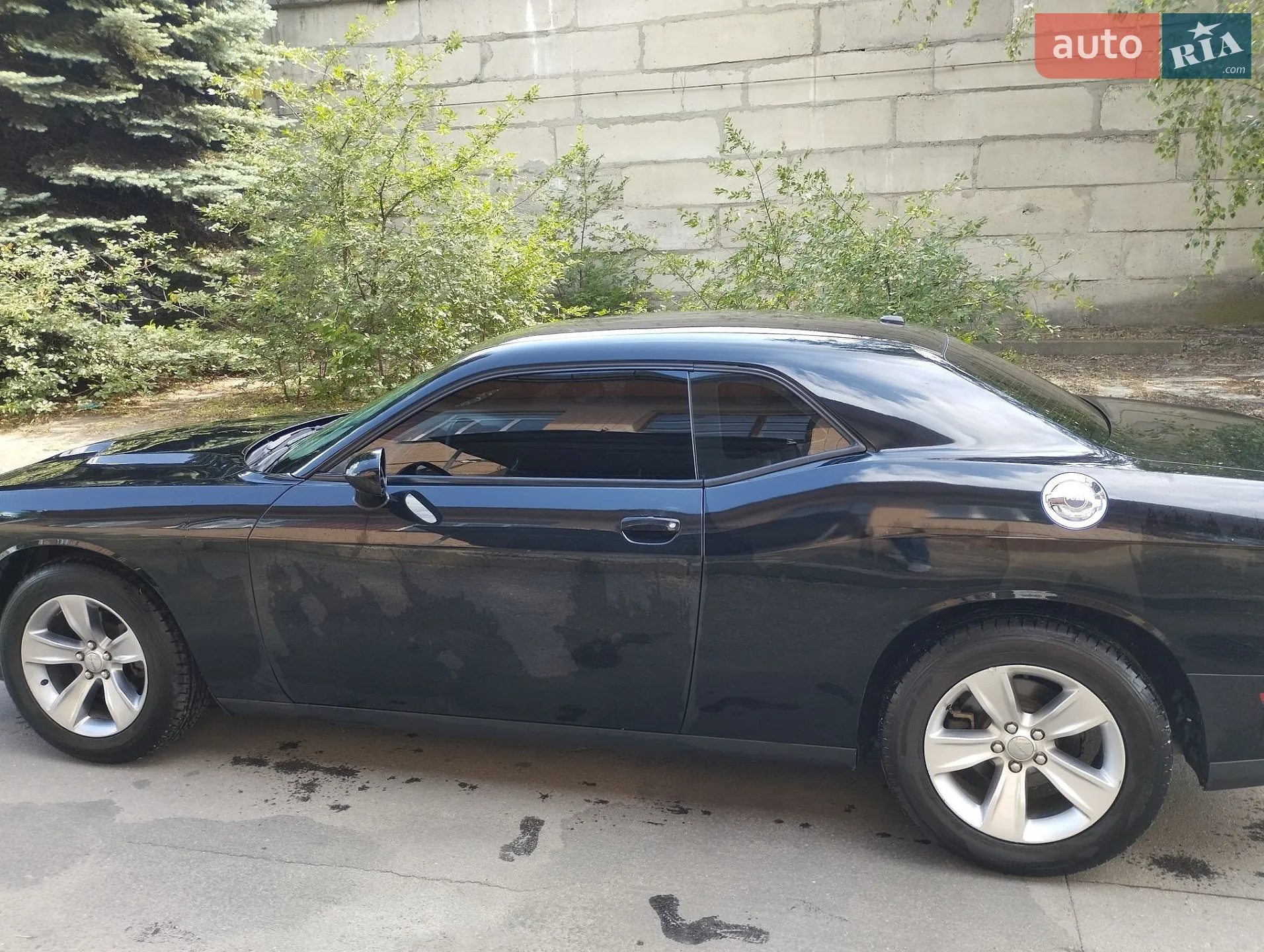 2017 Dodge Challenger - мініатюра 3