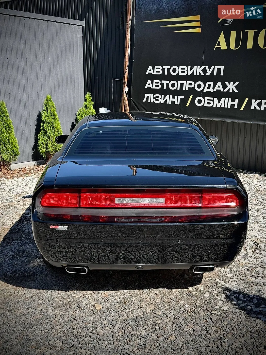 2014 Dodge Challenger - мініатюра 5