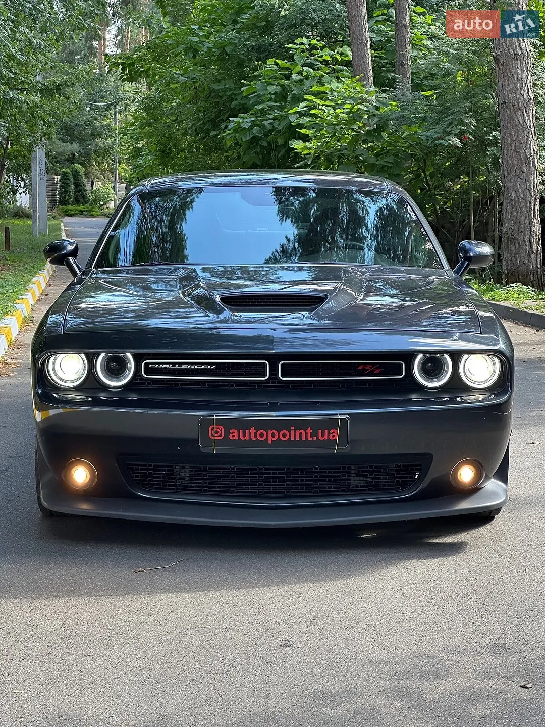 2019 Dodge Challenger - мініатюра 2