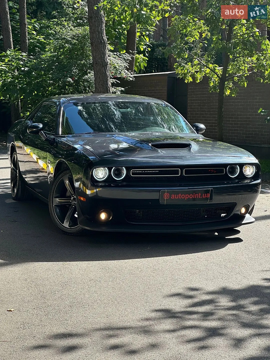 2019 Dodge Challenger - фото 1