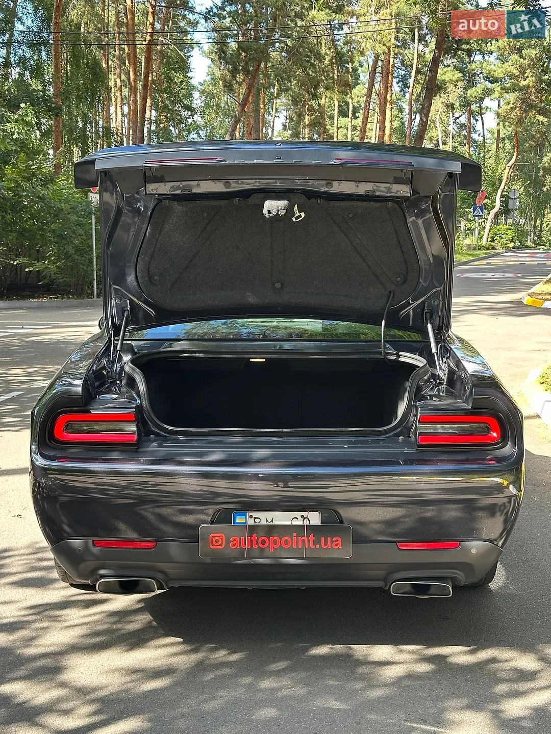 2019 Dodge Challenger - мініатюра 17