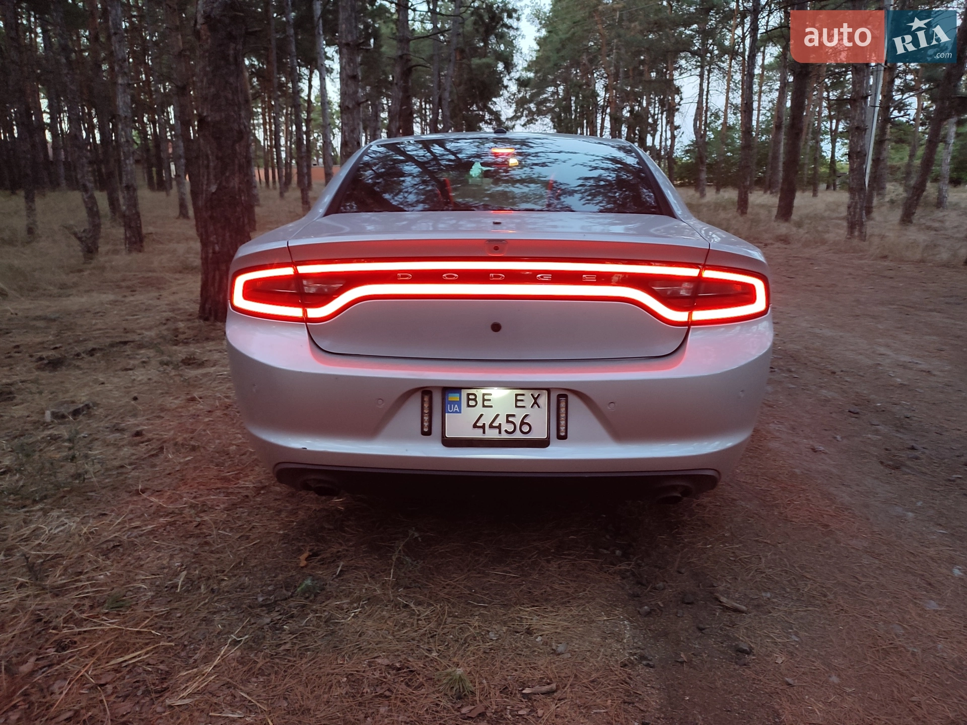 2019 Dodge Charger - мініатюра 8