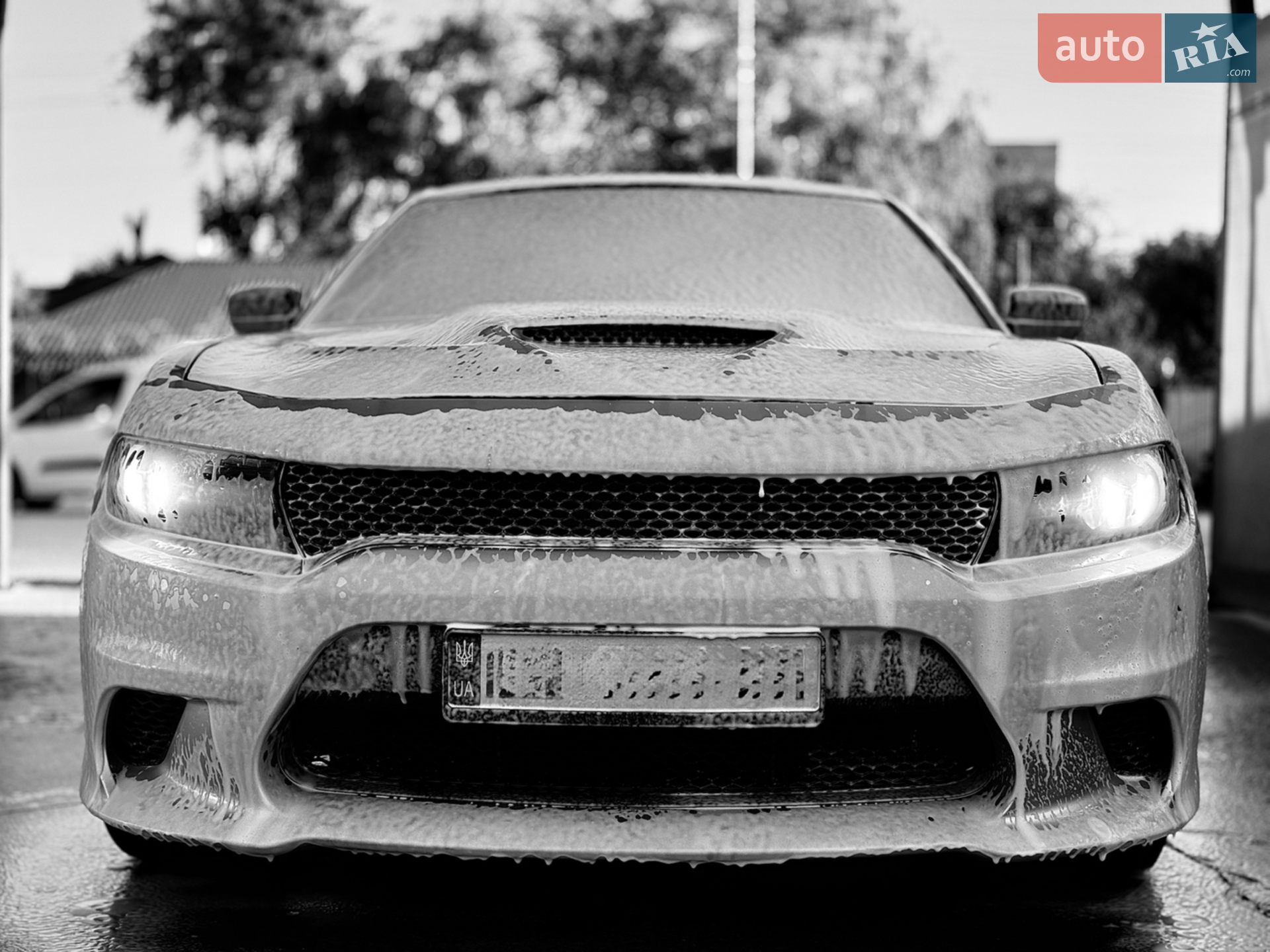 2019 Dodge Charger - мініатюра 20