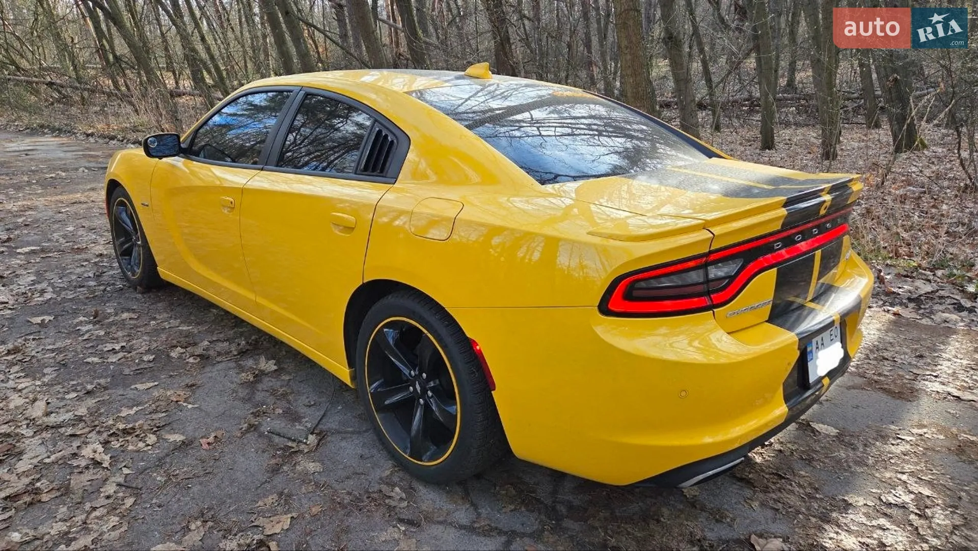 2017 Dodge Charger - мініатюра 6