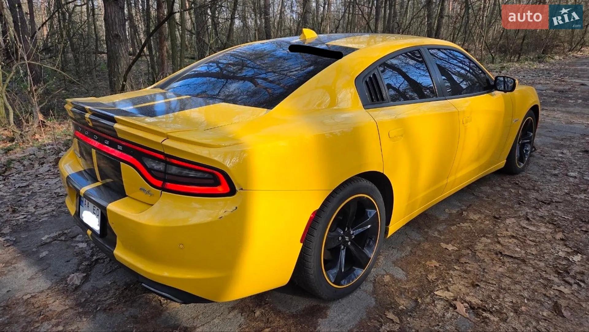 2017 Dodge Charger - мініатюра 7