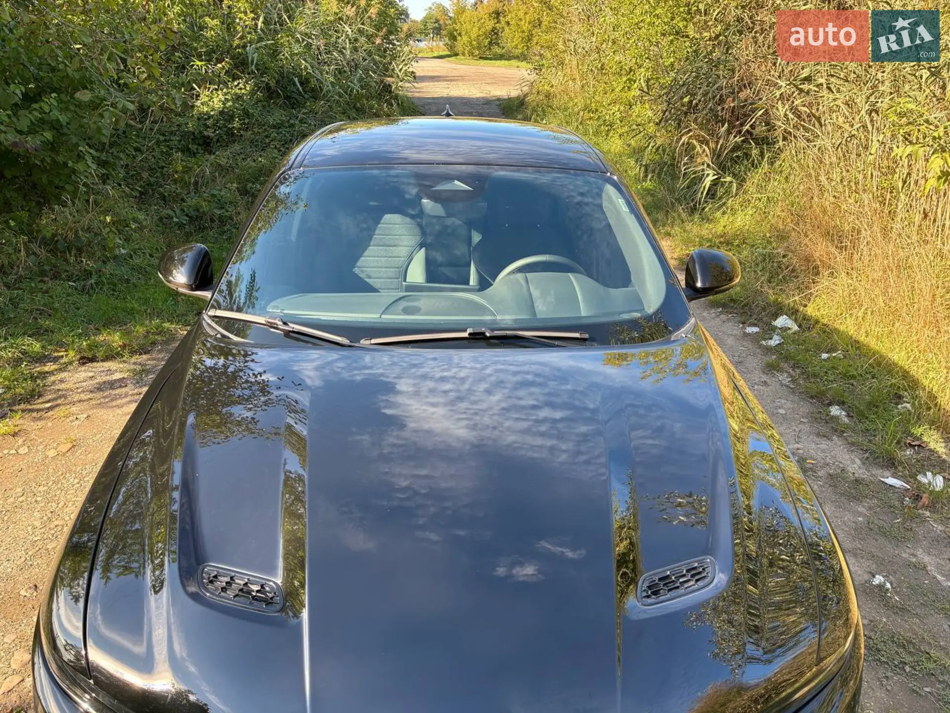 2023 Dodge Hornet - мініатюра 4