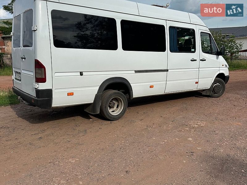 Микроавтобус Dodge Sprinter 2002 в Кривом Роге