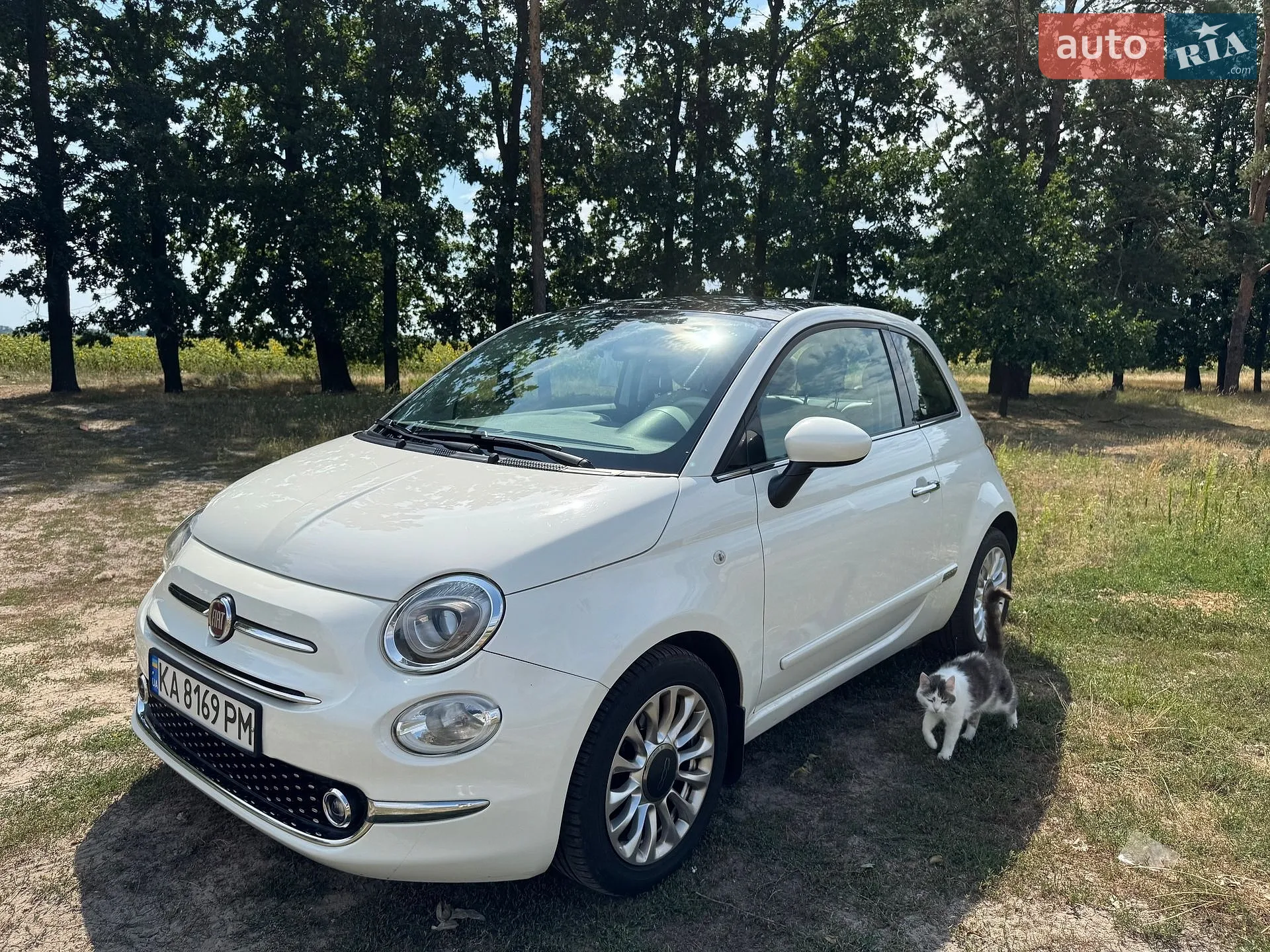 Fiat 500 2012 VIN ZFA31200000846754 фото оголошення 20 з 21