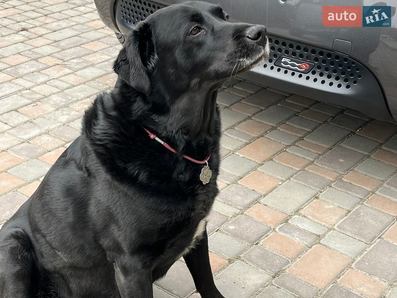 Хэтчбек Fiat 500e 2015 в Киеве фото 18 Хэтчбек Fiat 500e 2015 в Киеве