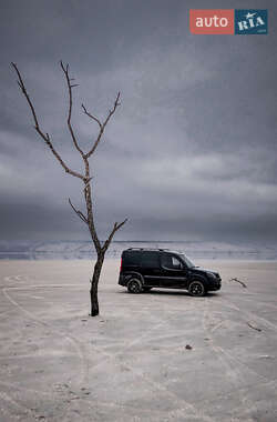 Грузопассажирский фургон Fiat Doblo 2007 в 