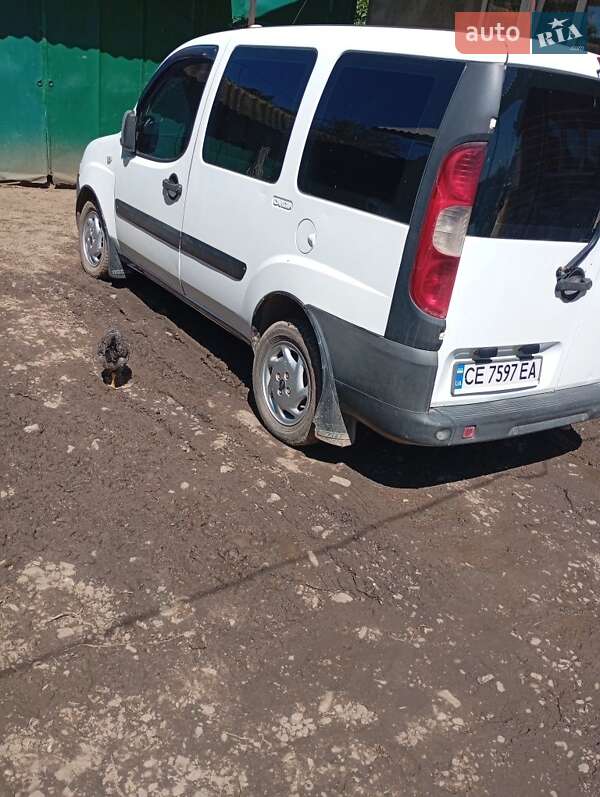 Минивэн Fiat Doblo 2009 в 