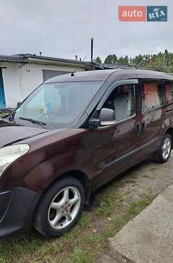 Мінівен Fiat Doblo 2010 в 